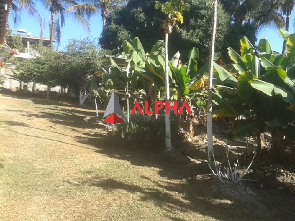 Chácara, 3 quartos - Foto 5