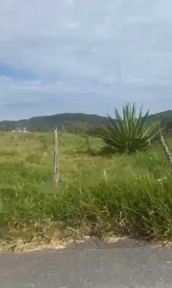 Terreno, 10000 m² - Foto 7