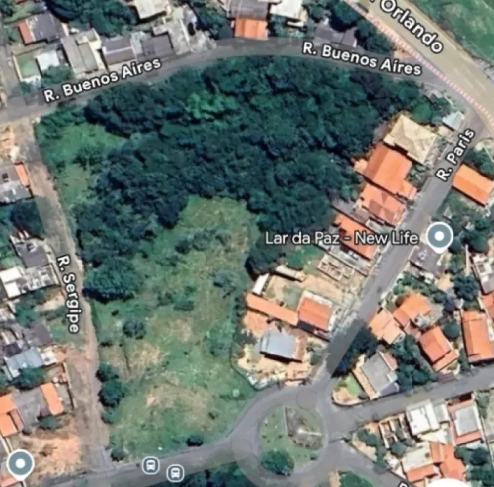 Terreno, 10000 m² - Foto 1