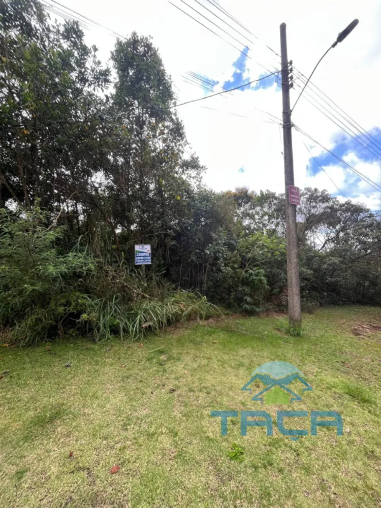 Terreno, 1000 m² - Foto 4