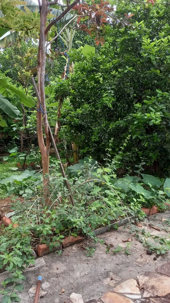 Terreno, 360 m² - Foto 7