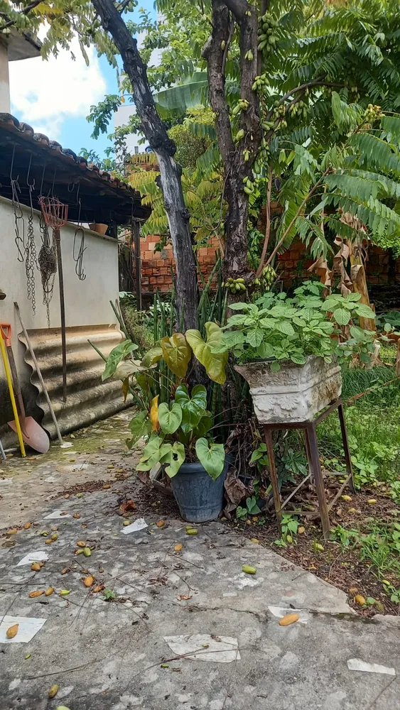 Terreno, 360 m² - Foto 4