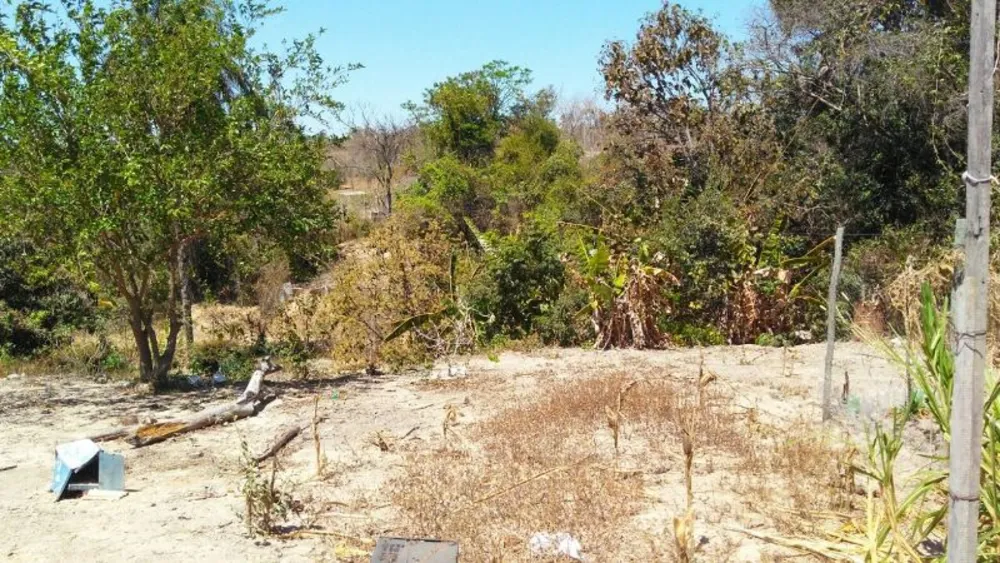 Chácara, 4 quartos, 2500 m² - Foto 6