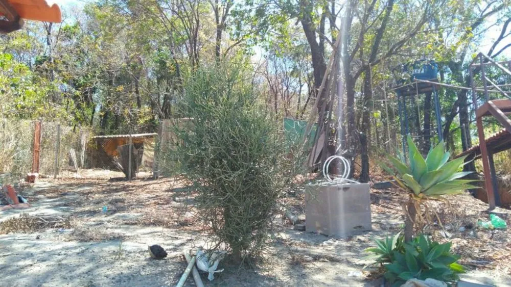 Chácara, 4 quartos, 2500 m² - Foto 5