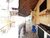 Casa, 3 quartos, 360 m² - Foto 7
