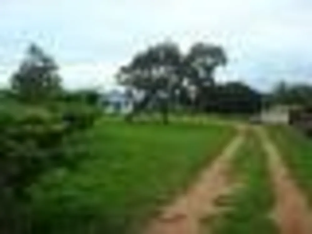 Terreno, 3 hectares - Foto 2