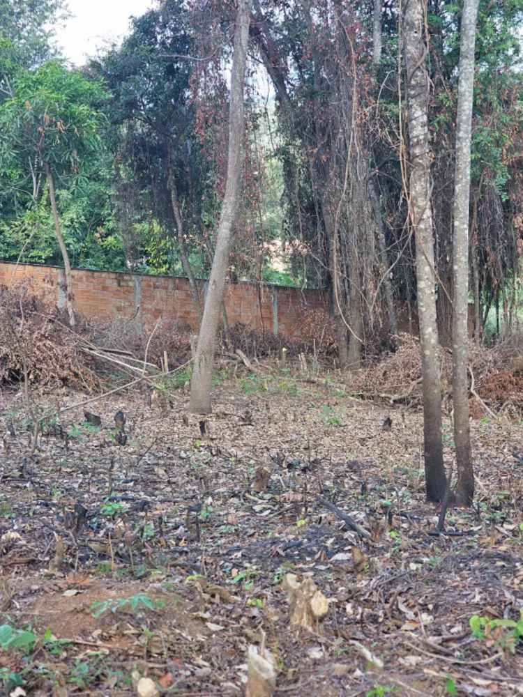 Terreno, 2054 m² - Foto 10