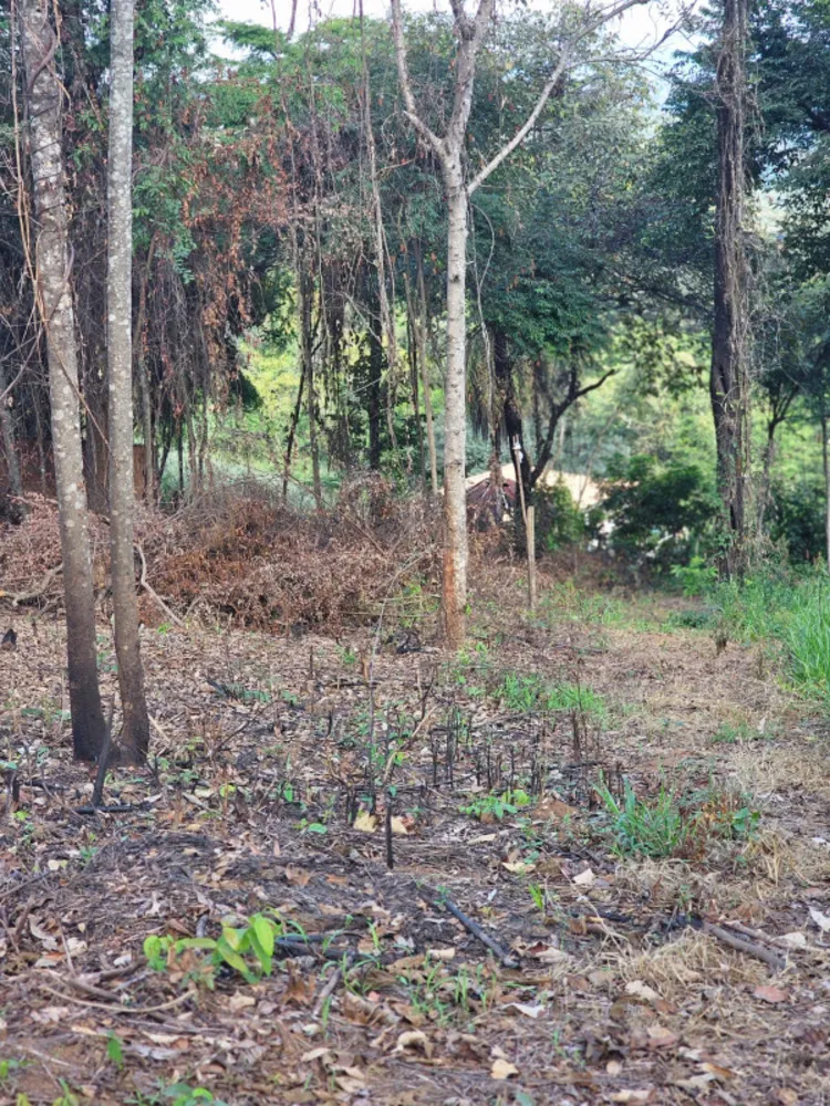Terreno, 2054 m² - Foto 11