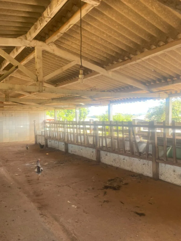 Fazenda, 1 quarto - Foto 7