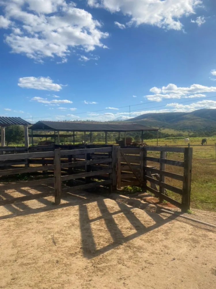 Fazenda, 1 quarto - Foto 4