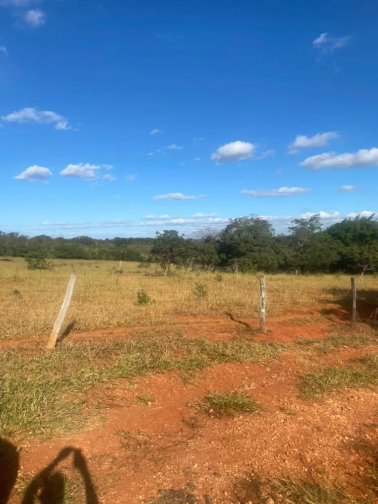 Fazenda, 1 quarto - Foto 6