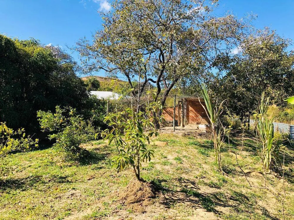 Chácara, 3 quartos - Foto 6