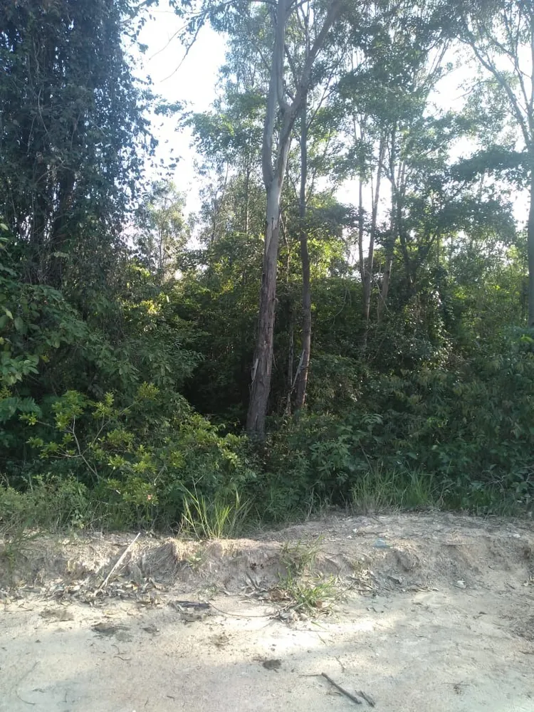 Terreno, 2500 m² - Foto 4