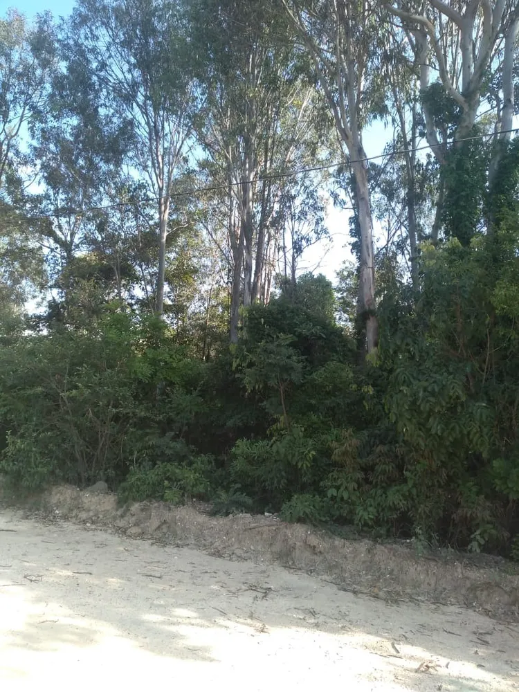 Terreno, 2500 m² - Foto 1