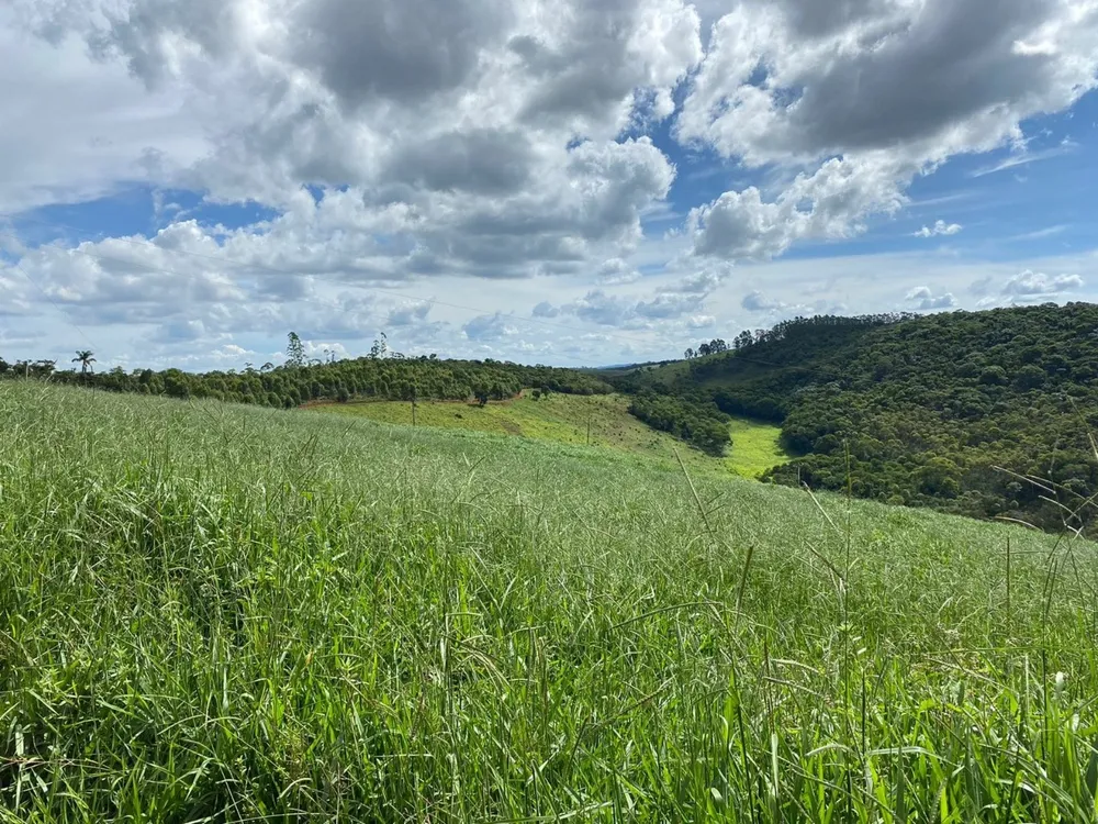Fazenda, 3 quartos - Foto 3