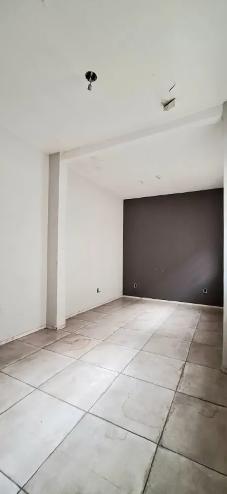 Casa, 4 quartos, 365 m² - Foto 9