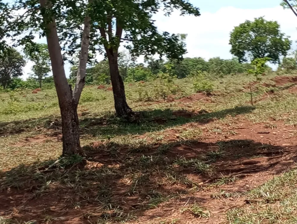 Fazenda, 2400 m² - Foto 1
