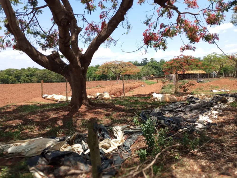 Fazenda, 2400 m² - Foto 2