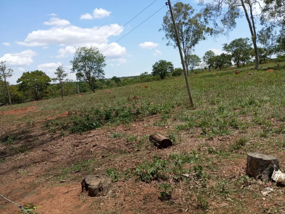Fazenda, 2400 m² - Foto 6