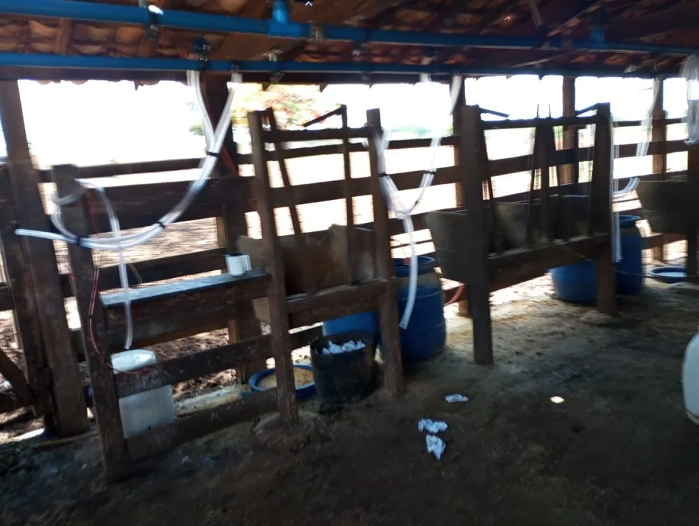 Fazenda, 2400 m² - Foto 10