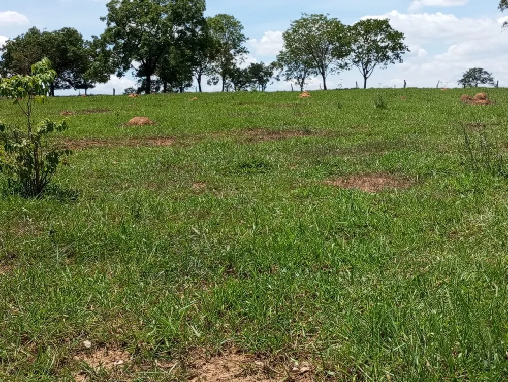 Fazenda, 2400 m² - Foto 2