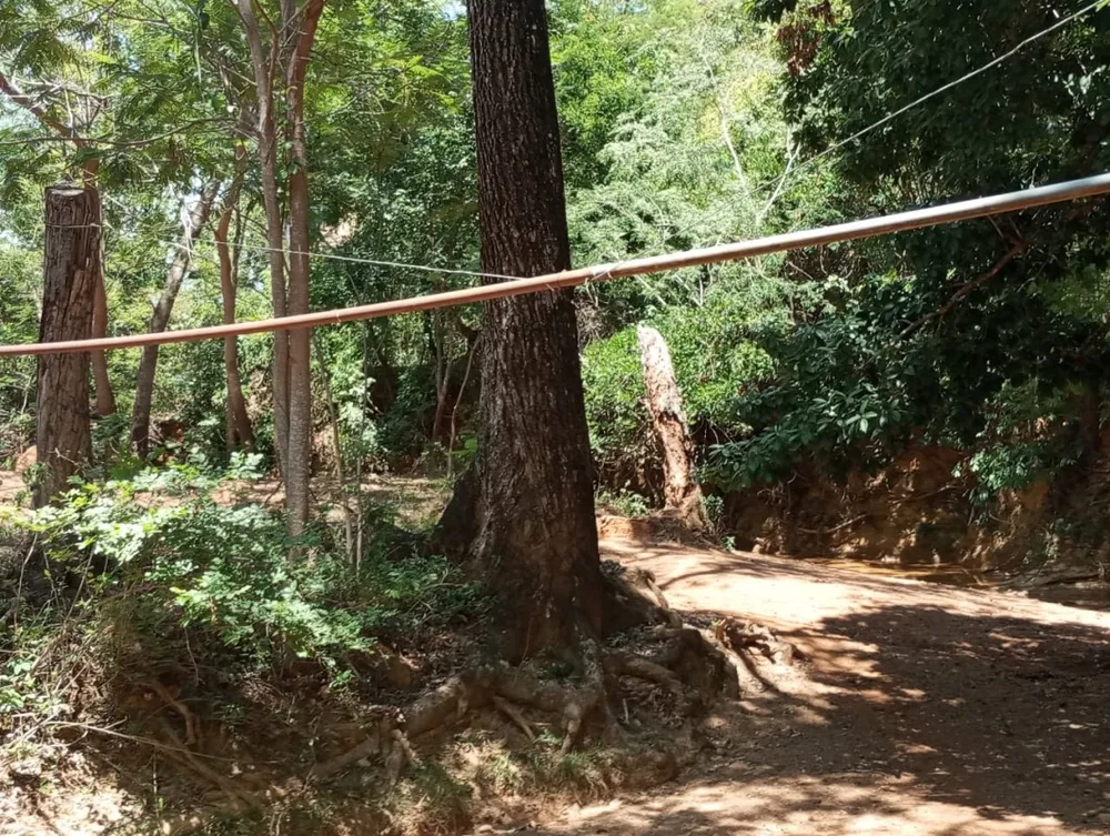Fazenda, 2400 m² - Foto 4