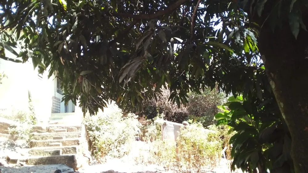 Terreno, 360 m² - Foto 6