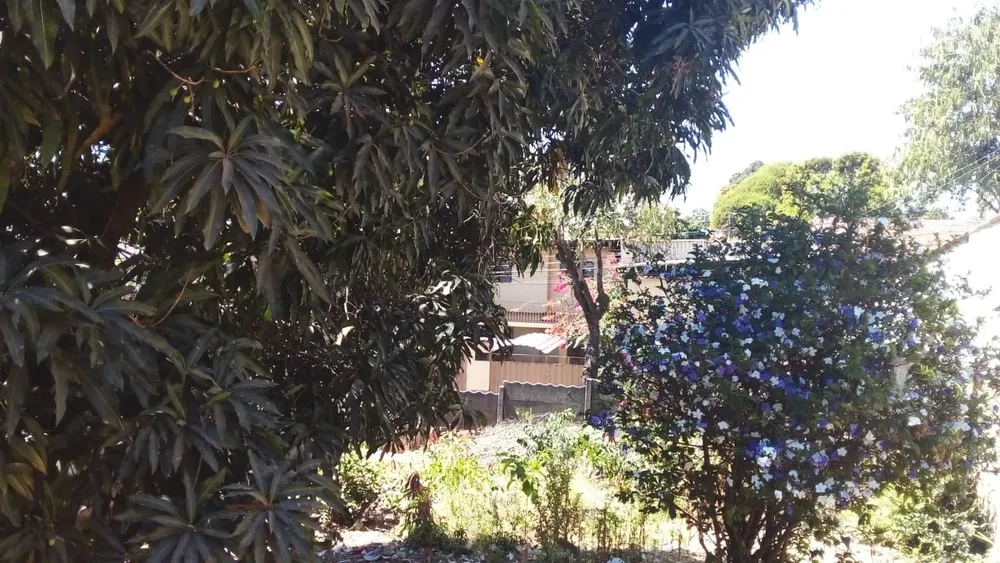 Terreno, 360 m² - Foto 4