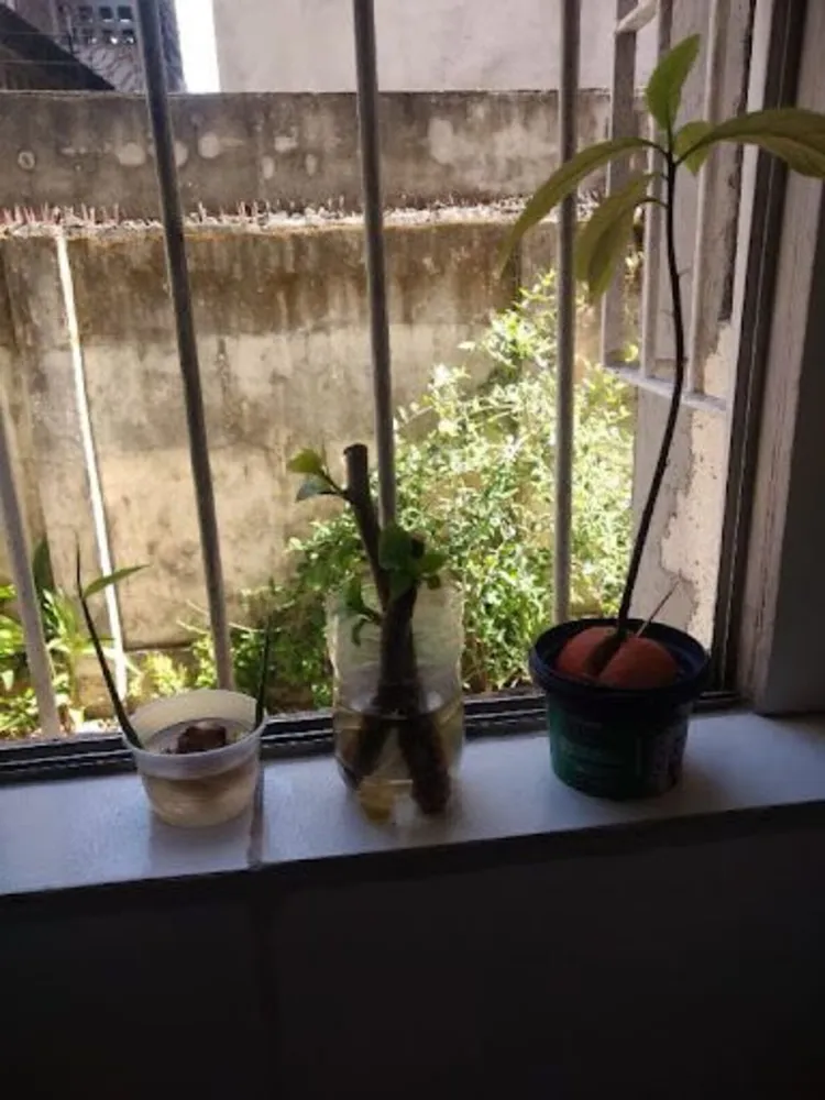Apartamento, 3 quartos, 76 m² - Foto 1