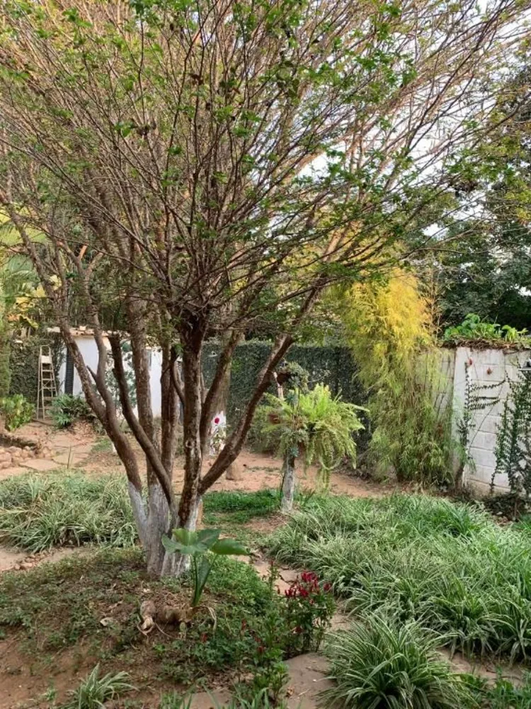 Casa, 5 quartos, 2280 m² - Foto 8