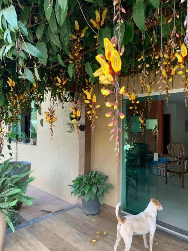 Casa, 5 quartos, 2280 m² - Foto 5