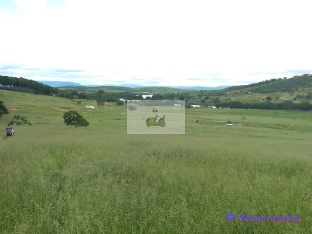 Fazenda, 144 hectares - Foto 4