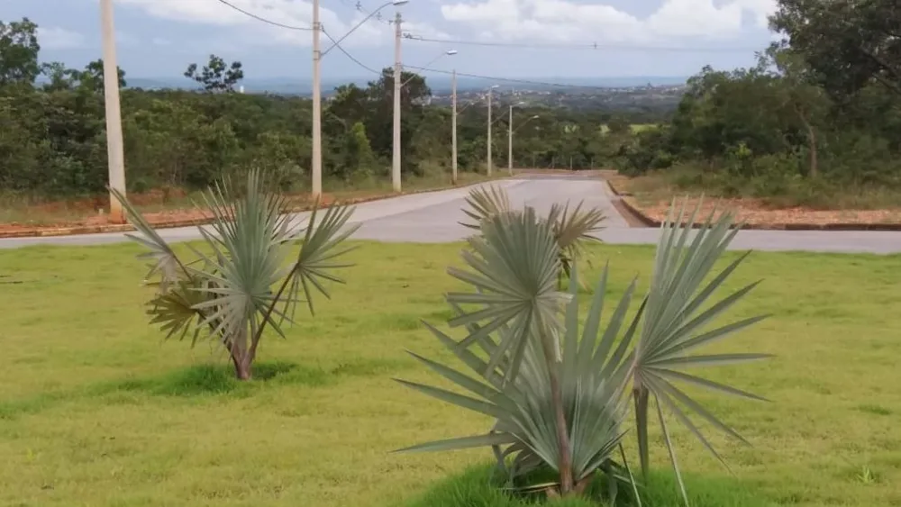 Terreno, 100 m² - Foto 4