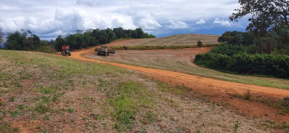 Fazenda, 315 hectares - Foto 10