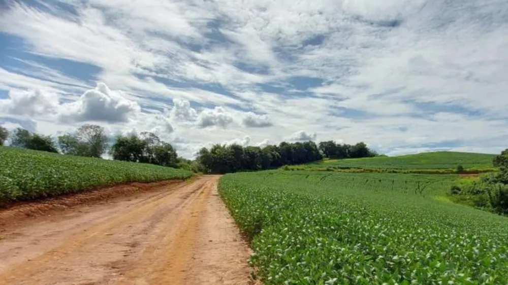 Fazenda, 315 hectares - Foto 11