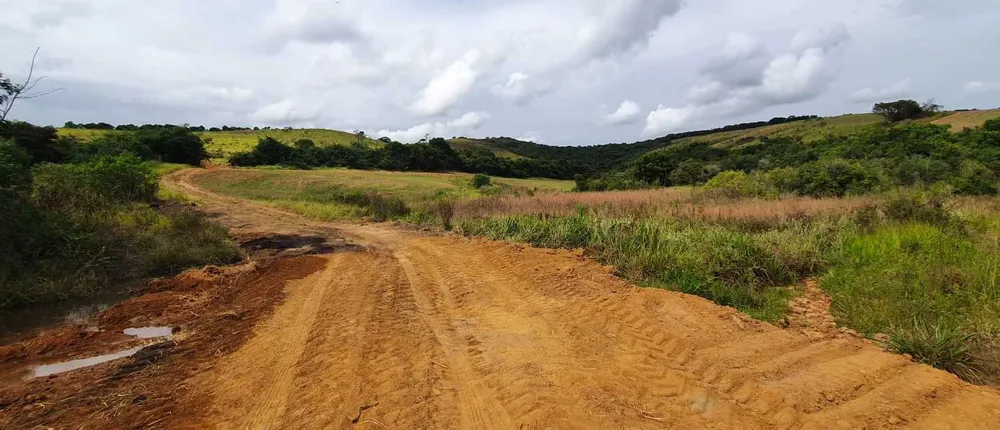 Fazenda, 315 hectares - Foto 12