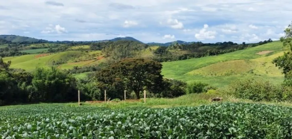 Fazenda, 315 hectares - Foto 4