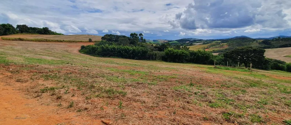 Fazenda, 315 hectares - Foto 16