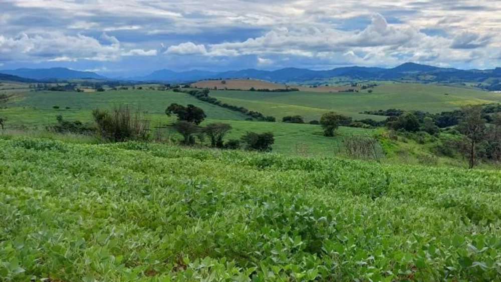 Fazenda, 315 hectares - Foto 17