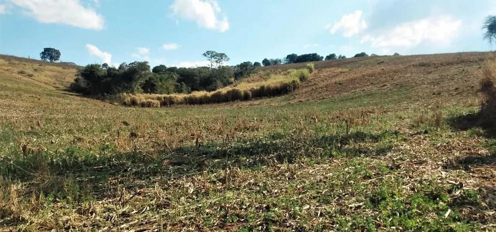 Fazenda, 315 hectares - Foto 12