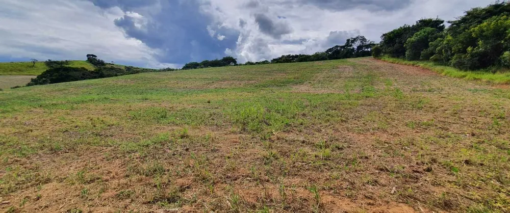 Fazenda, 315 hectares - Foto 13