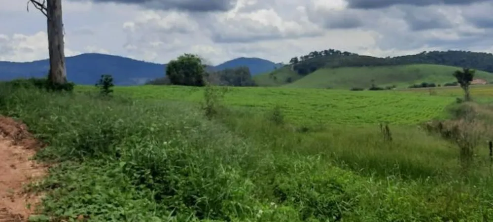 Fazenda, 315 hectares - Foto 6