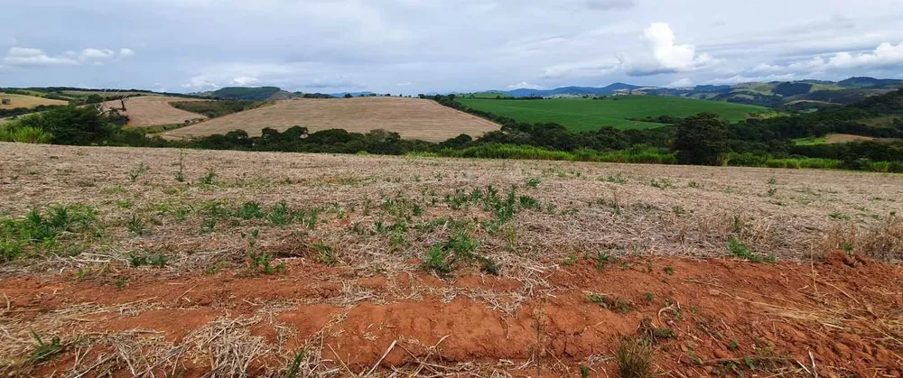 Fazenda, 315 hectares - Foto 11