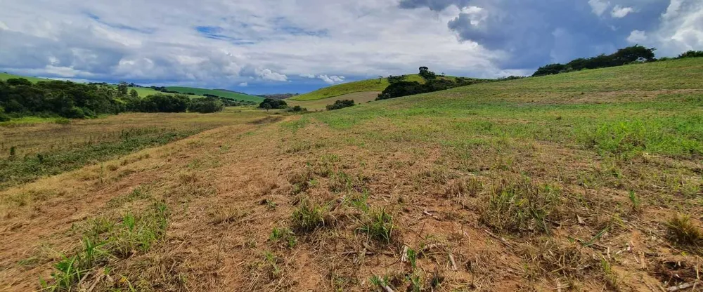 Fazenda, 315 hectares - Foto 9