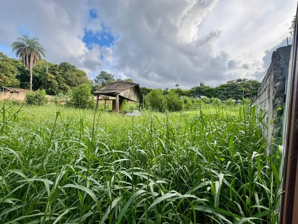 Terreno, 1035 m² - Foto 6