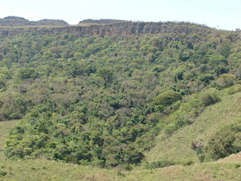 Terreno, 19 hectares - Foto 1
