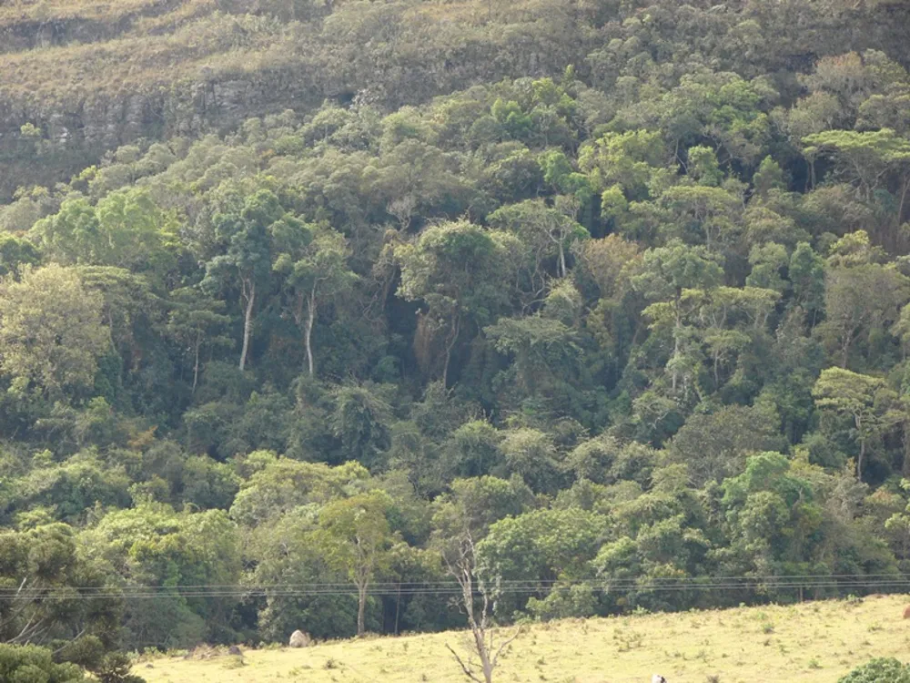Terreno, 19 hectares - Foto 4