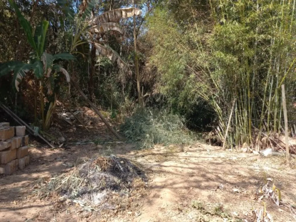 Casa, 4 quartos, 1006 m² - Foto 14