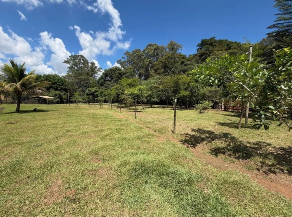 Sítio, 1 quarto, 32000 m² - Foto 12