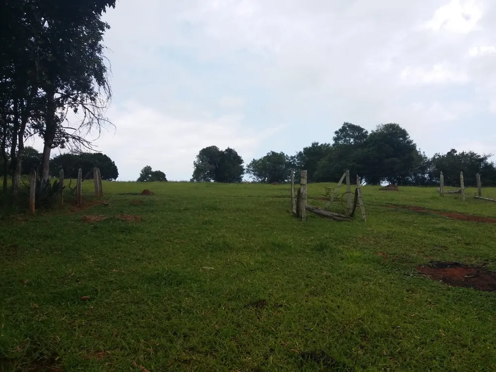 Chácara, 4 quartos - Foto 2